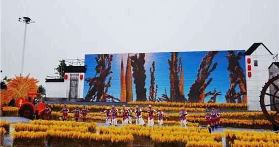 今日南京爆料最新消息新闻,聚焦城市热点事件追踪  第1张