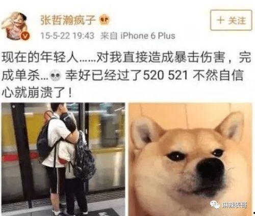 老狗网红爆料视频,揭秘娱乐圈幕后真相  第3张